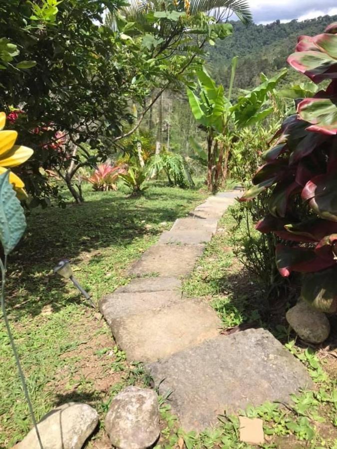 Navarro mountain Cartago Exterior foto